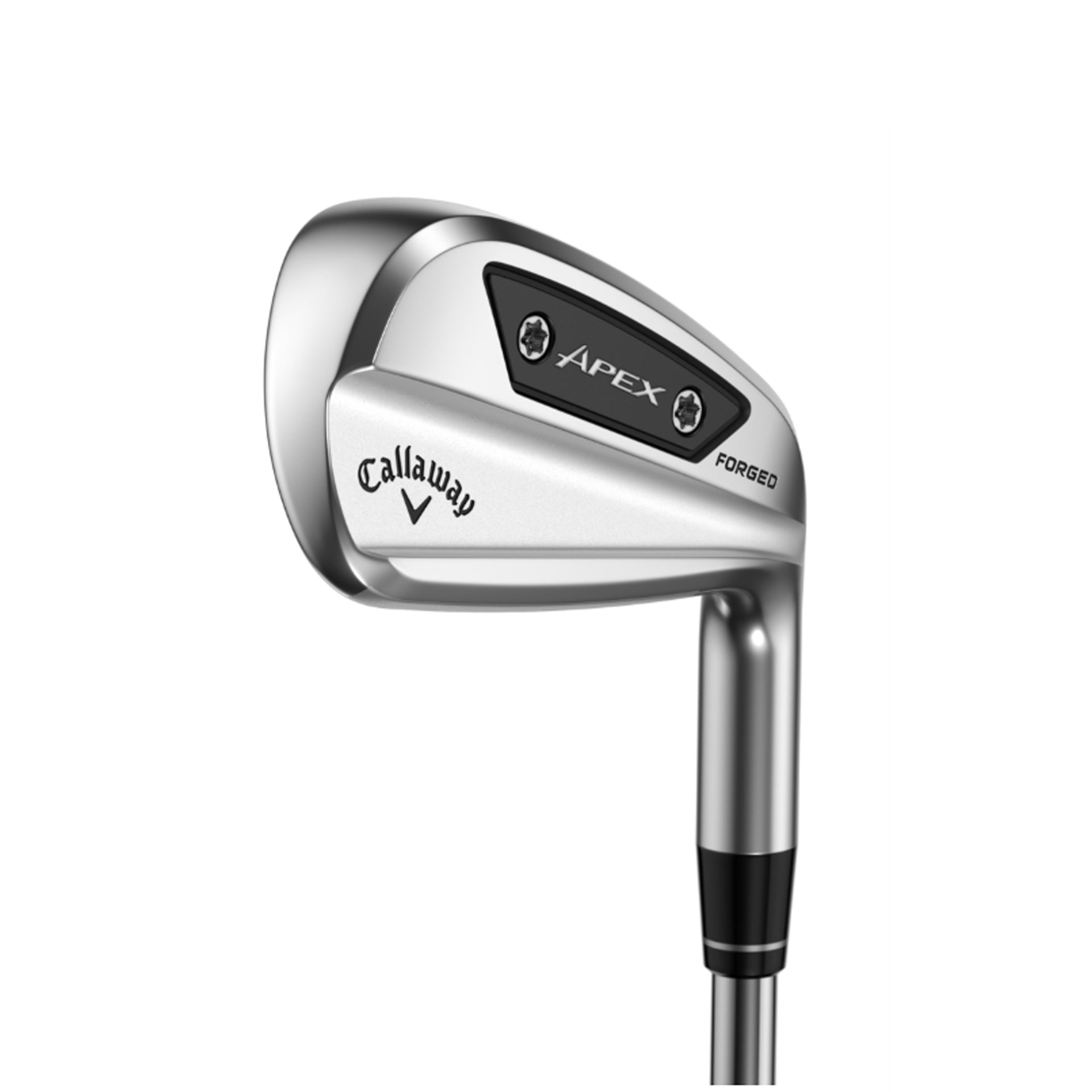 APEX AI200 IRONS 4-PW / TRUE TEMPER DYNAMIC GOLD MID 100STEEL REGULAR / RIGHT