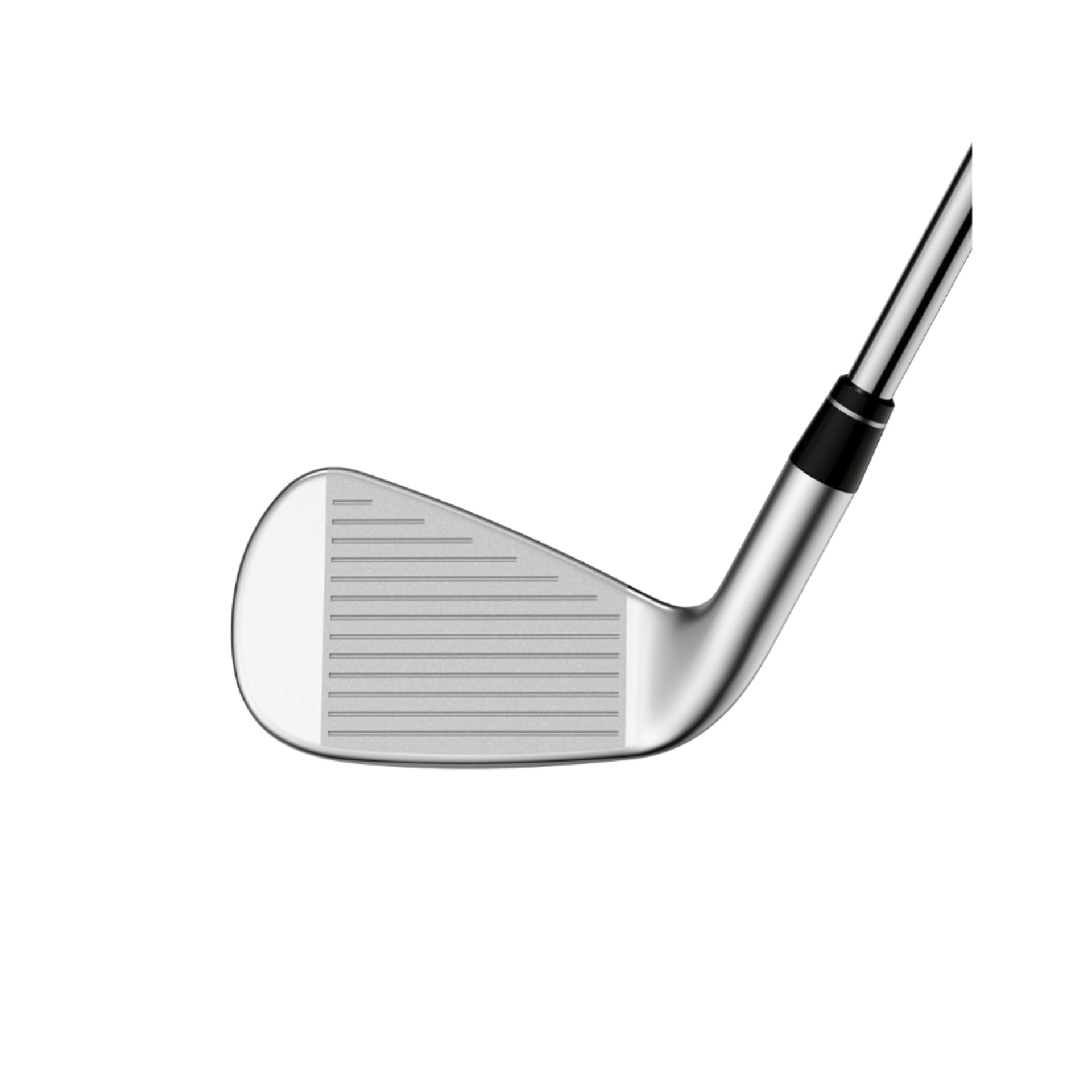 APEX AI200 IRONS 4-PW / TRUE TEMPER DYNAMIC GOLD MID 100STEEL REGULAR / RIGHT