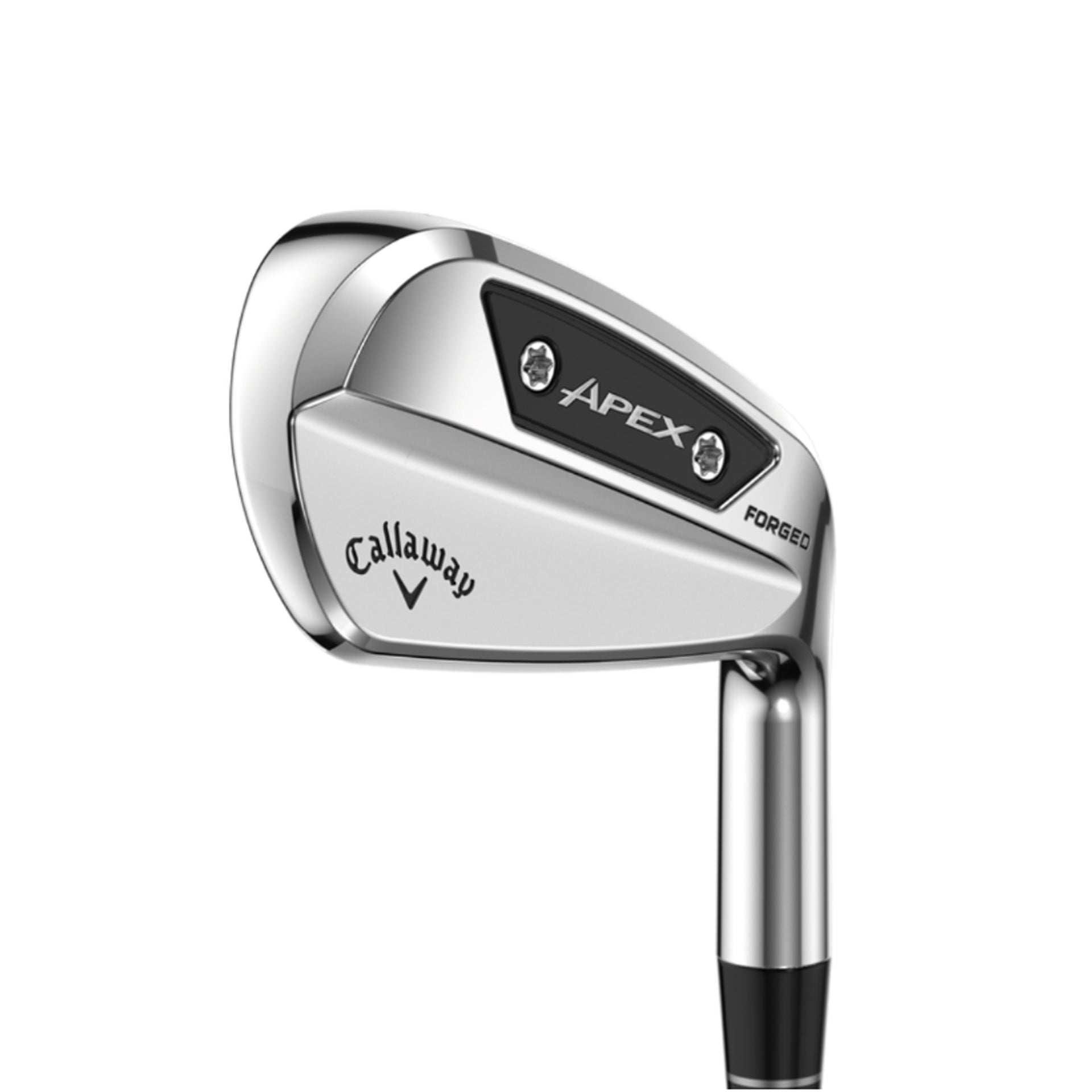 APEX AI150 IRONS 4-PW / TRUE TEMPER DYNAMIC GOLD MID 115 STEEL, STIFF / RIGHT